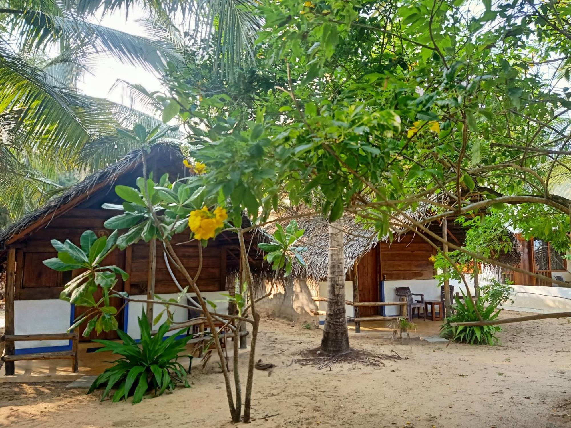 Sand Dune Beach Resort & Surf Camp Arugam Bay Kültér fotó