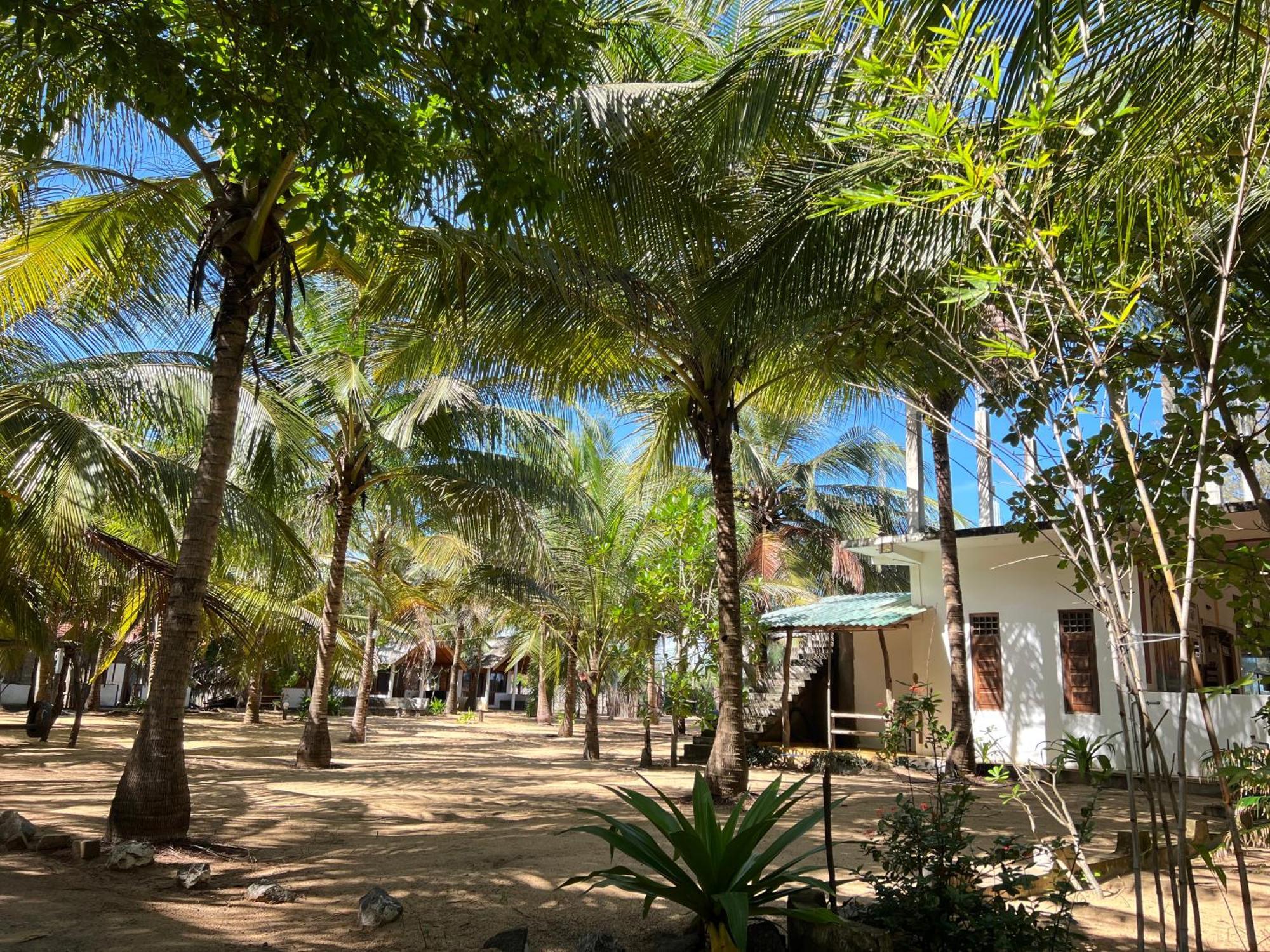 Sand Dune Beach Resort & Surf Camp Arugam Bay Kültér fotó