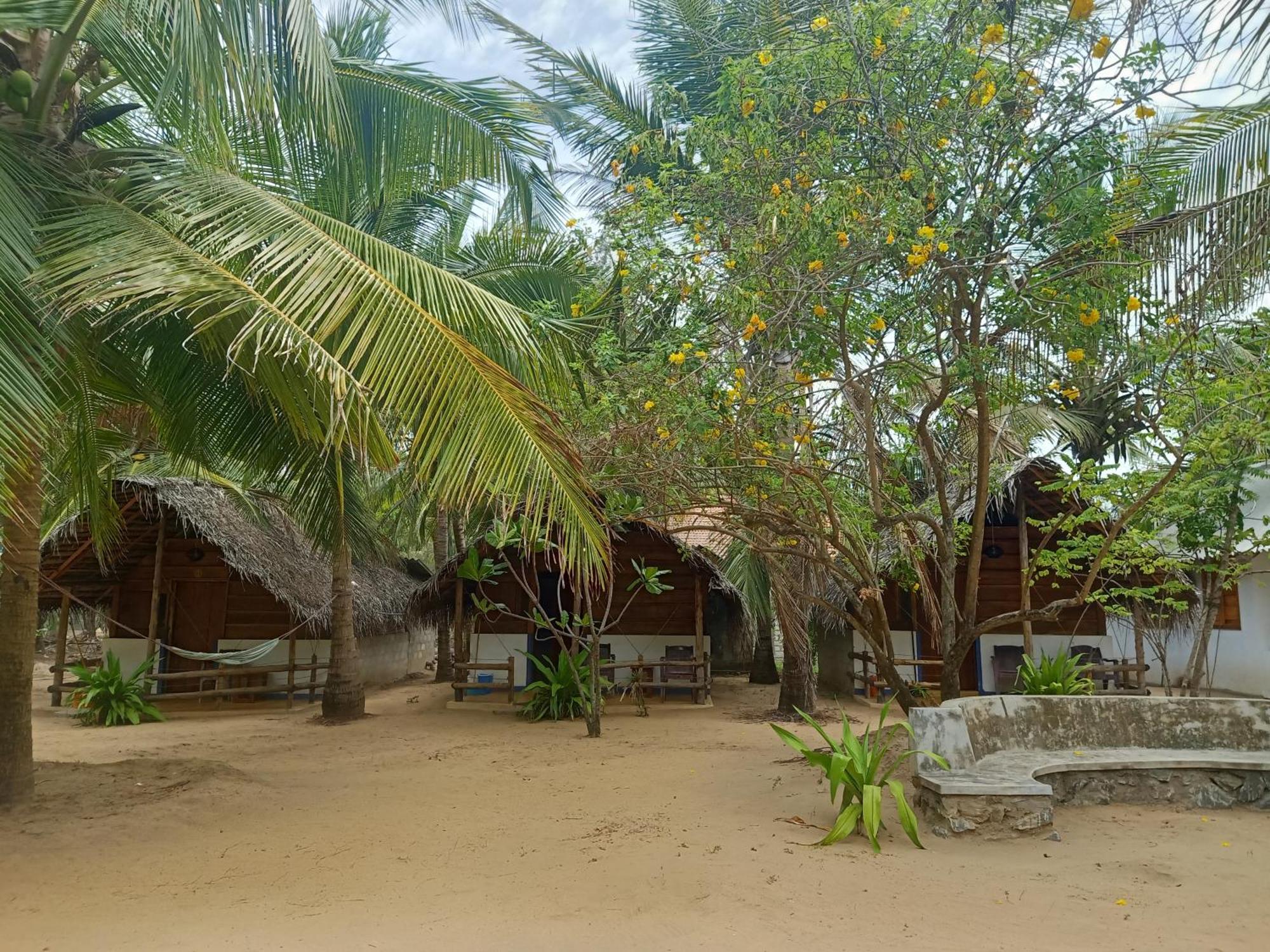 Sand Dune Beach Resort & Surf Camp Arugam Bay Kültér fotó