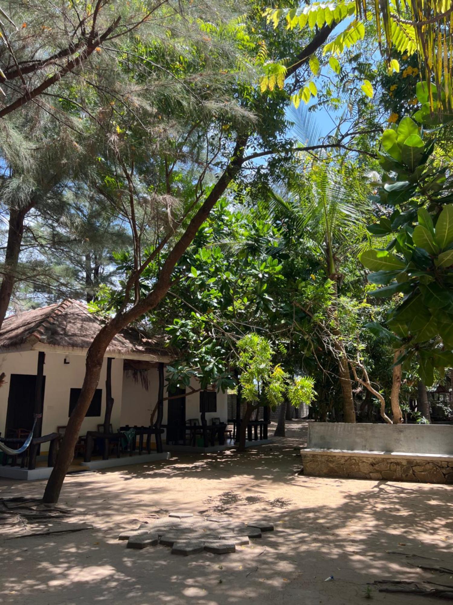 Sand Dune Beach Resort & Surf Camp Arugam Bay Kültér fotó